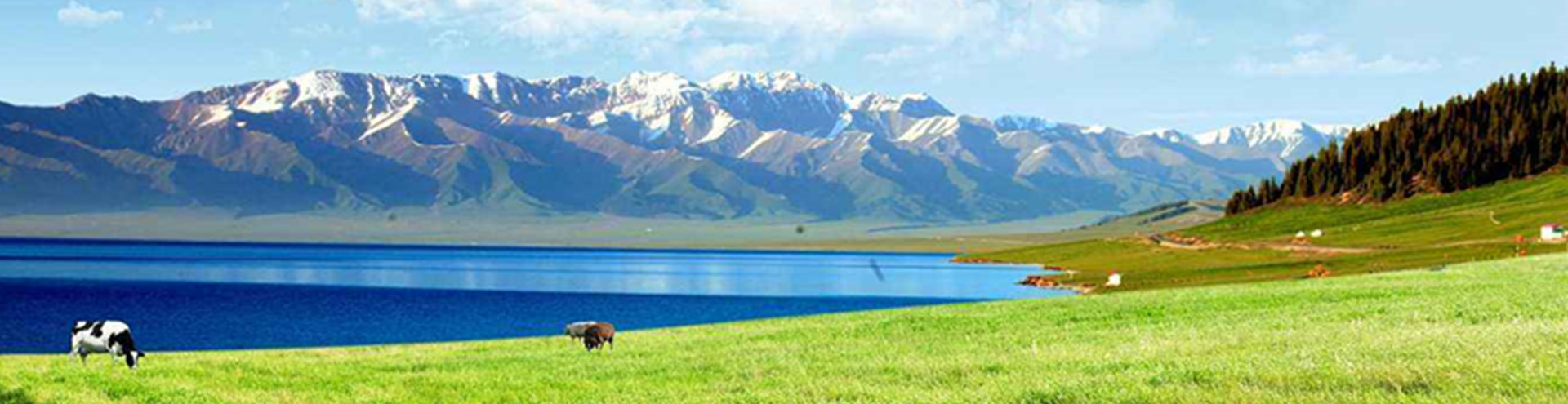 工業(yè)除塵設備